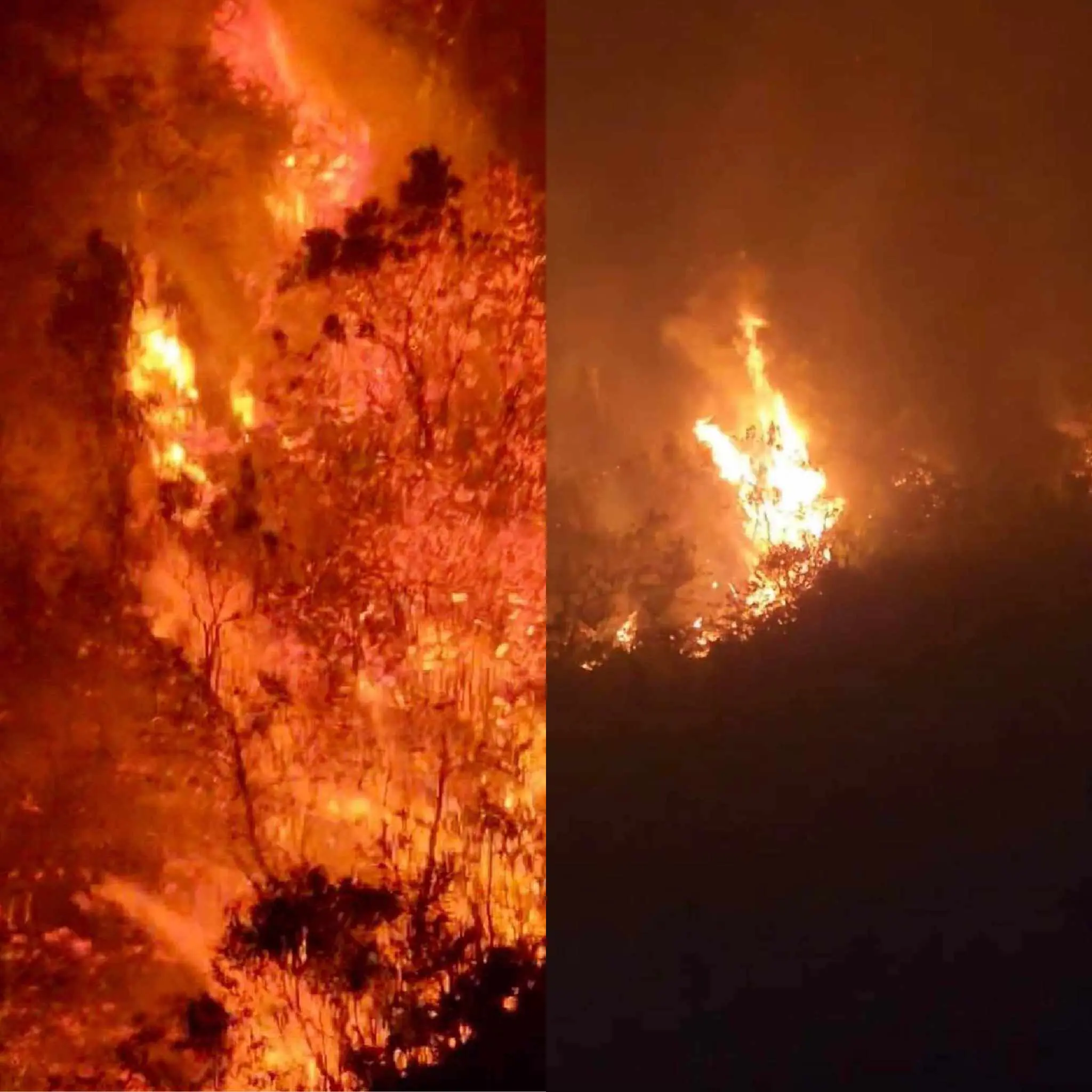 Hai cán bộ kiểm lâm ở Hà Giang tử nạn khi chữa cháy rừng- Ảnh 1.
