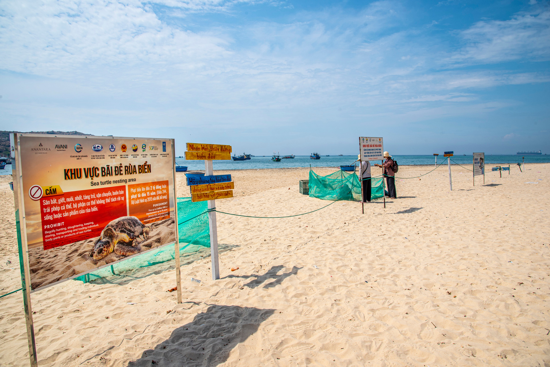 “Mật ngữ” từ rùa biển