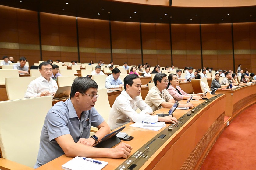 170525-bquyet1-6601-5646 Các đại biểu biểu quyết thông qua Nghị quyết. (Ảnh: T.H)