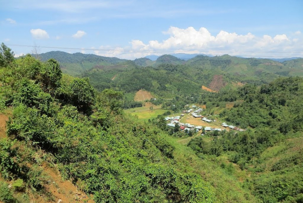 tiêu rừng